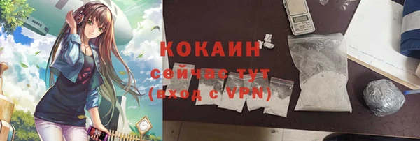 дживик Белокуриха