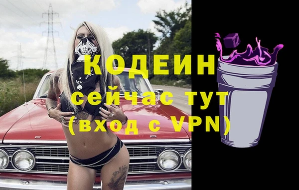 дживик Белокуриха