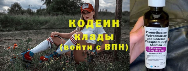 дживик Белокуриха