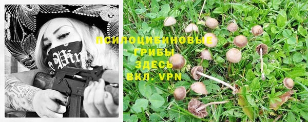 ПСИЛОЦИБИНОВЫЕ ГРИБЫ Баксан