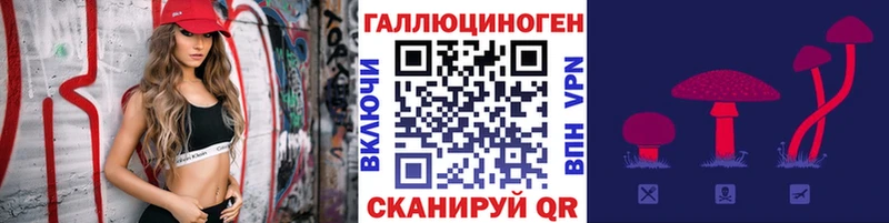 хочу наркоту  Кудрово  Галлюциногенные грибы Magic Shrooms 