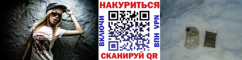 где можно купить наркотик  Кудрово  Шишки марихуана гибрид 